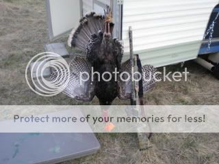 turkeyhunt011.jpg