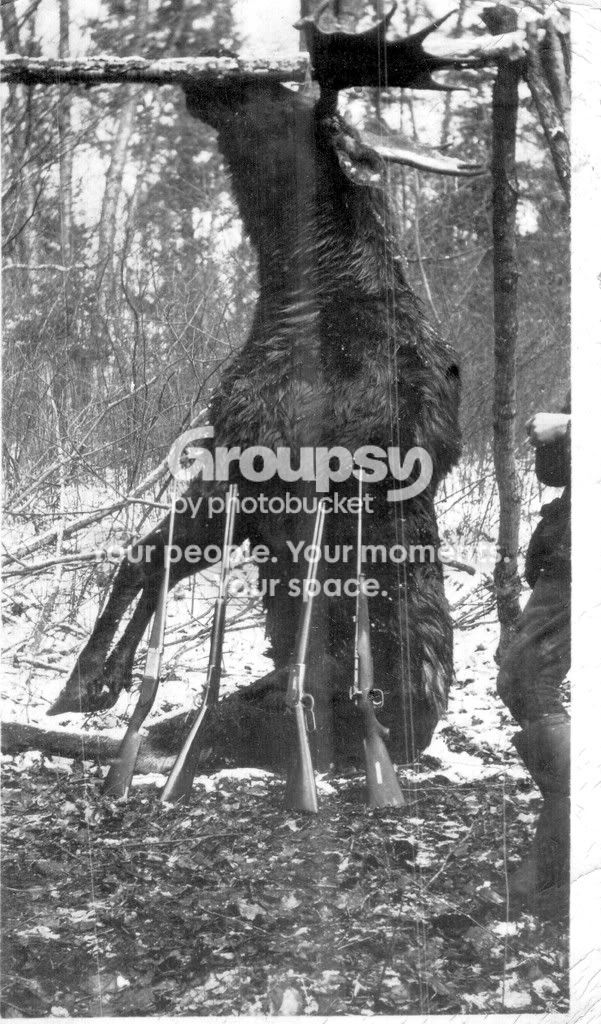 Scan20001.jpg