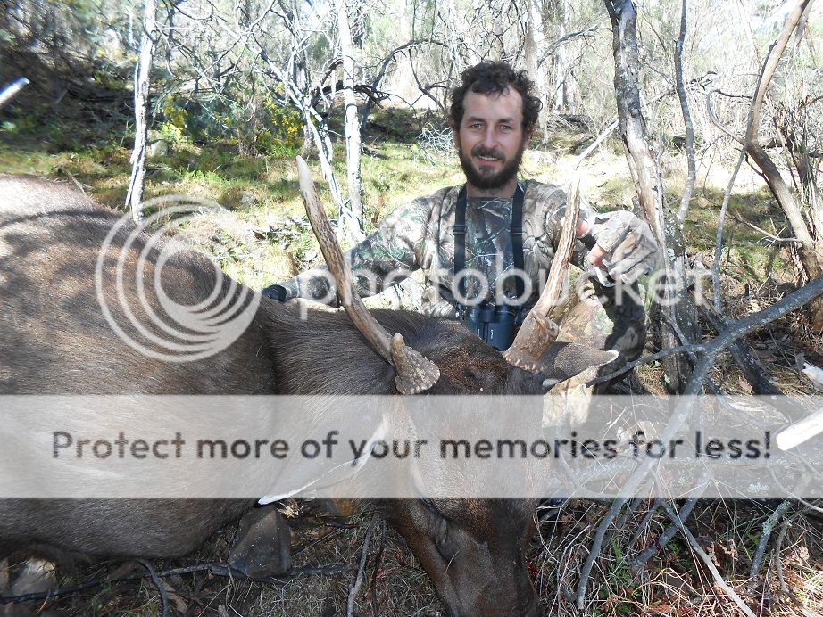 DSCN0435portraitcull15-8.jpg~original