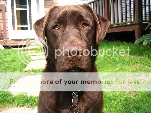 jennyone.jpg