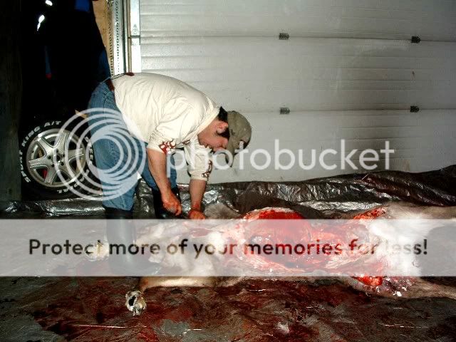 Jasonskinning.jpg