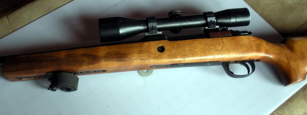 phc3004.jpg