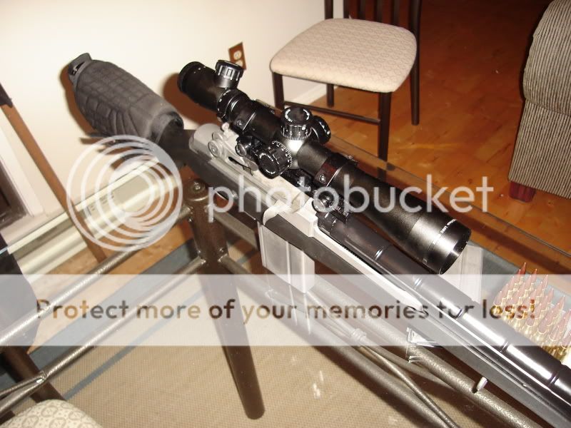 m14004.jpg