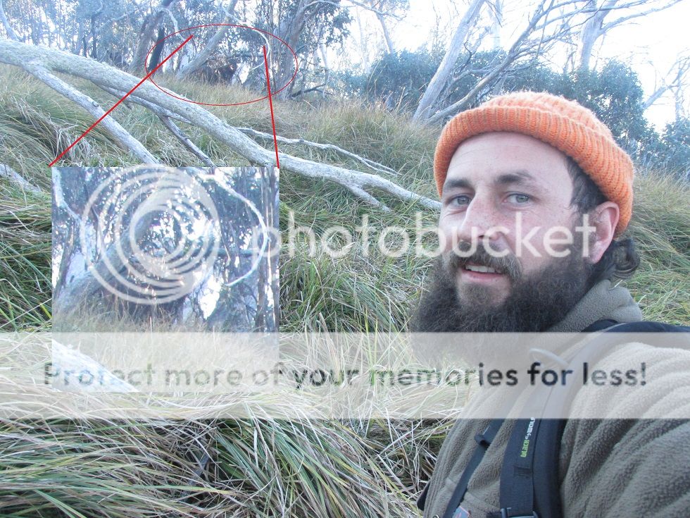 IMG_5482selfy.jpg~original