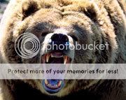 grizzly-bears-051.jpg