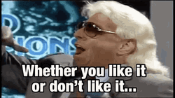 ric-flair-learn-to-love-it-xpcy764y8dp9bfha.gif