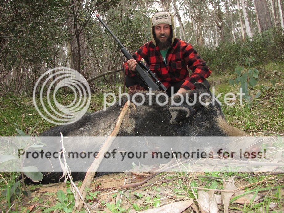 img2626_ttsxpig.jpg~original