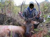 th_65502_Mike_s_Elkedited_122_475lo.jpg