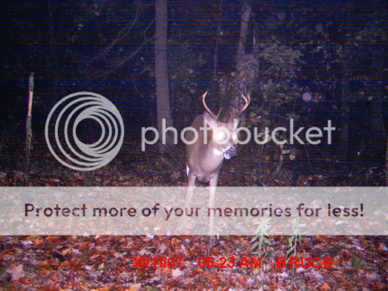 TrailcamDugOct07102.jpg