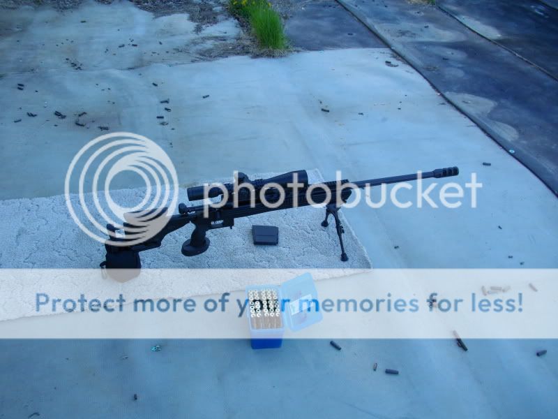 IMGP0730.jpg