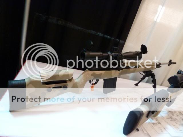 P1020254-1.jpg