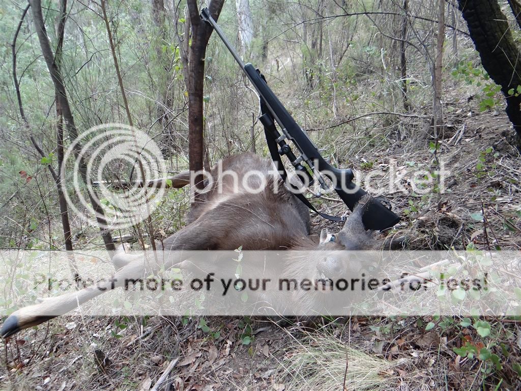 shanespike.jpg~original