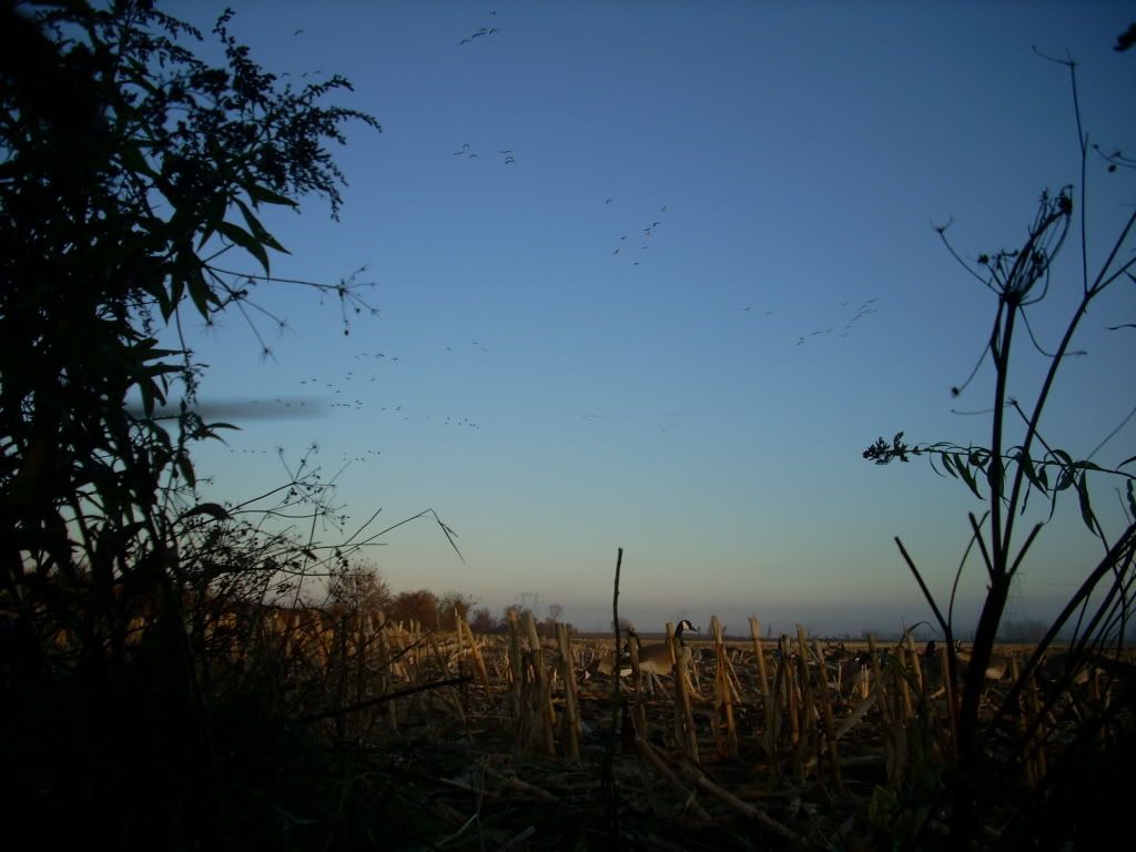 DSCN0008.jpg