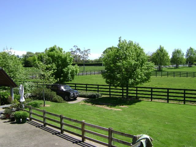 DSC00339.jpg