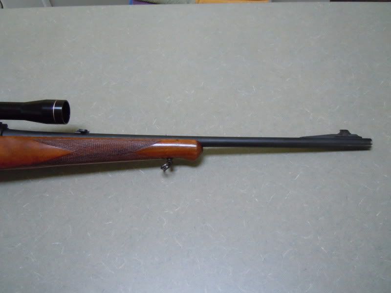 DSCN0147.jpg