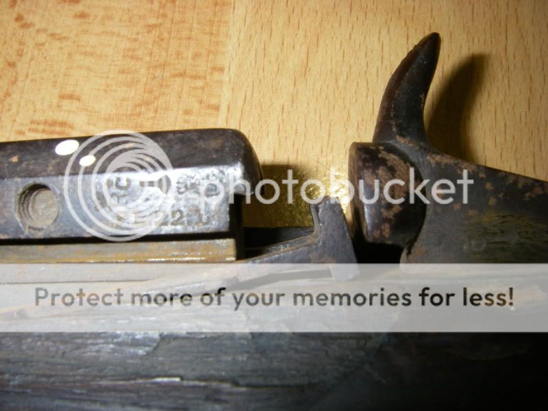 IMGP1555.jpg