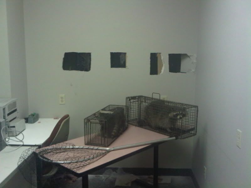 IMG00188-20090610-1217.jpg