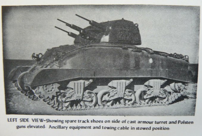 skink-3.jpg