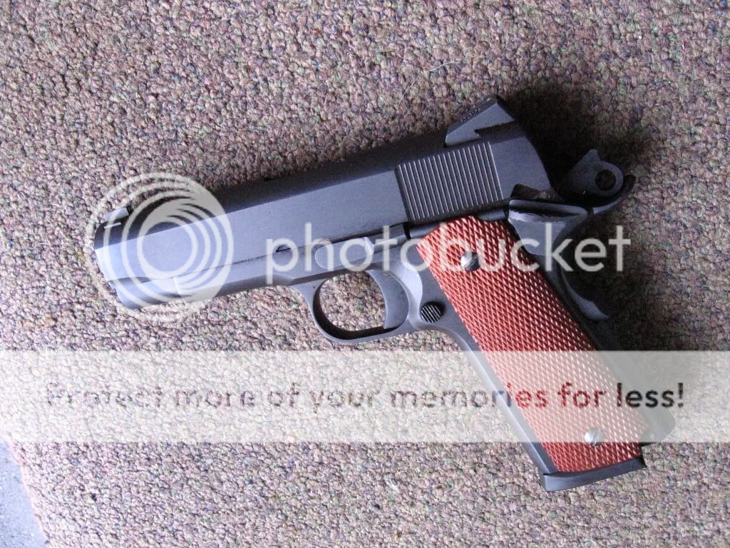 SAMandColt1911006.jpg