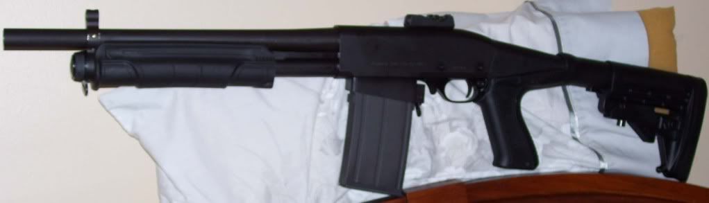 Grizzly4.jpg