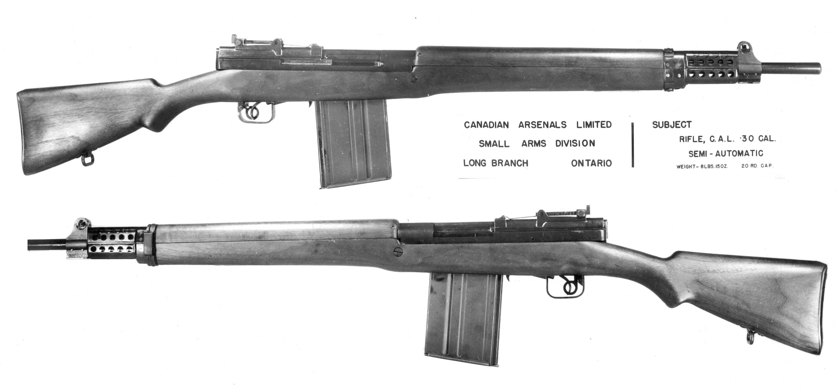 sal0005and10.jpg
