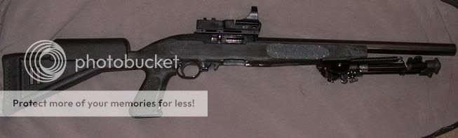 ruger10222.jpg