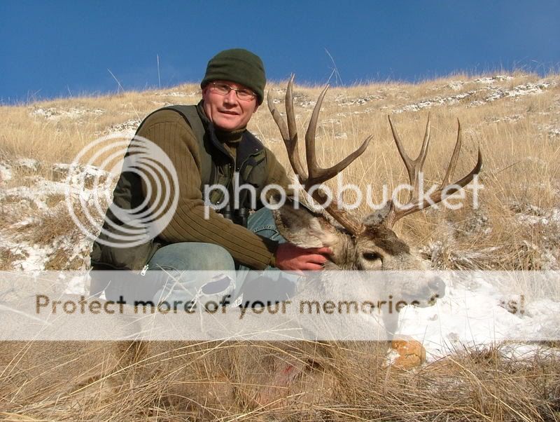 MuleDeer06017.jpg