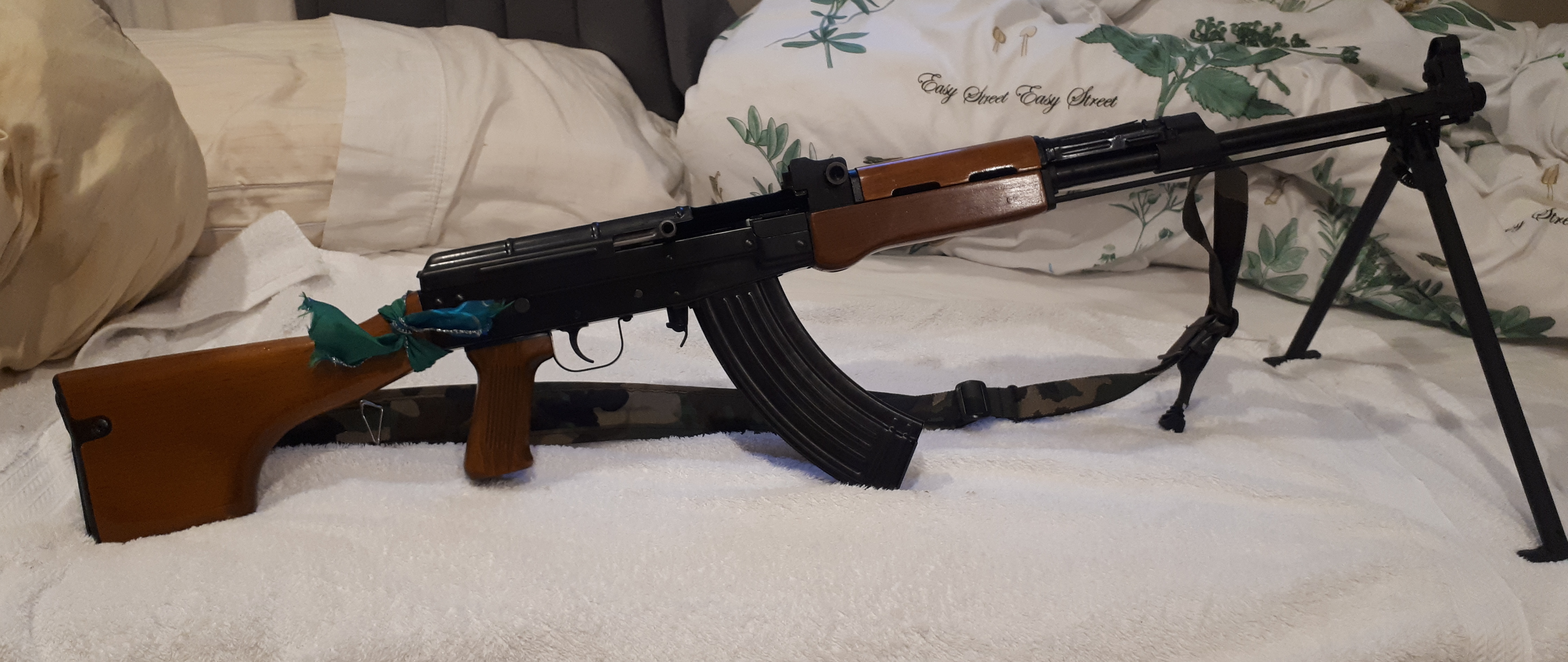 gM7z7fR.jpg
