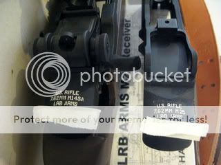 IMG_7341.jpg