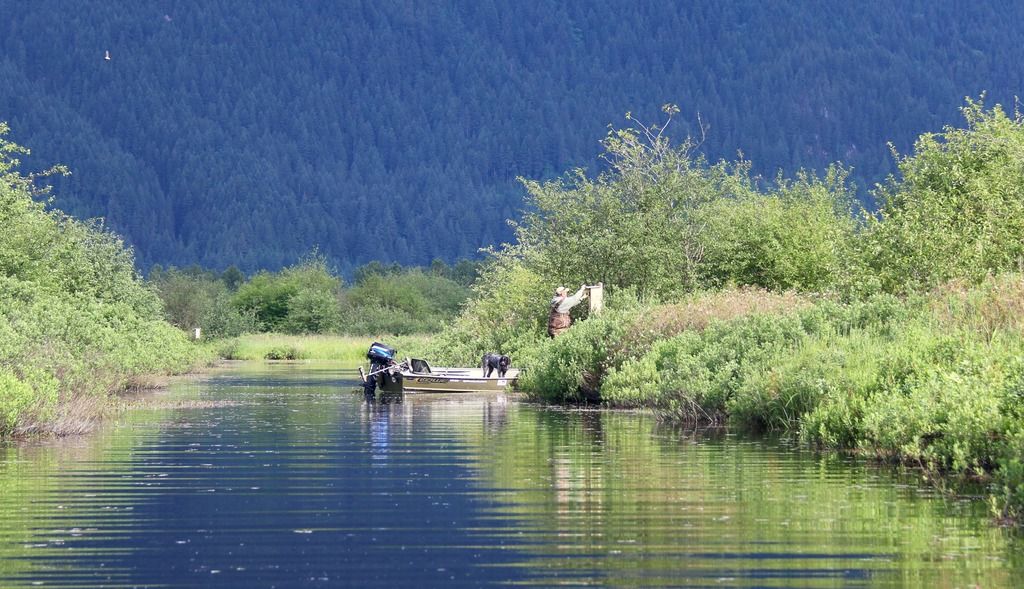 IMG_6344_zpsbtznaerr.jpg~original