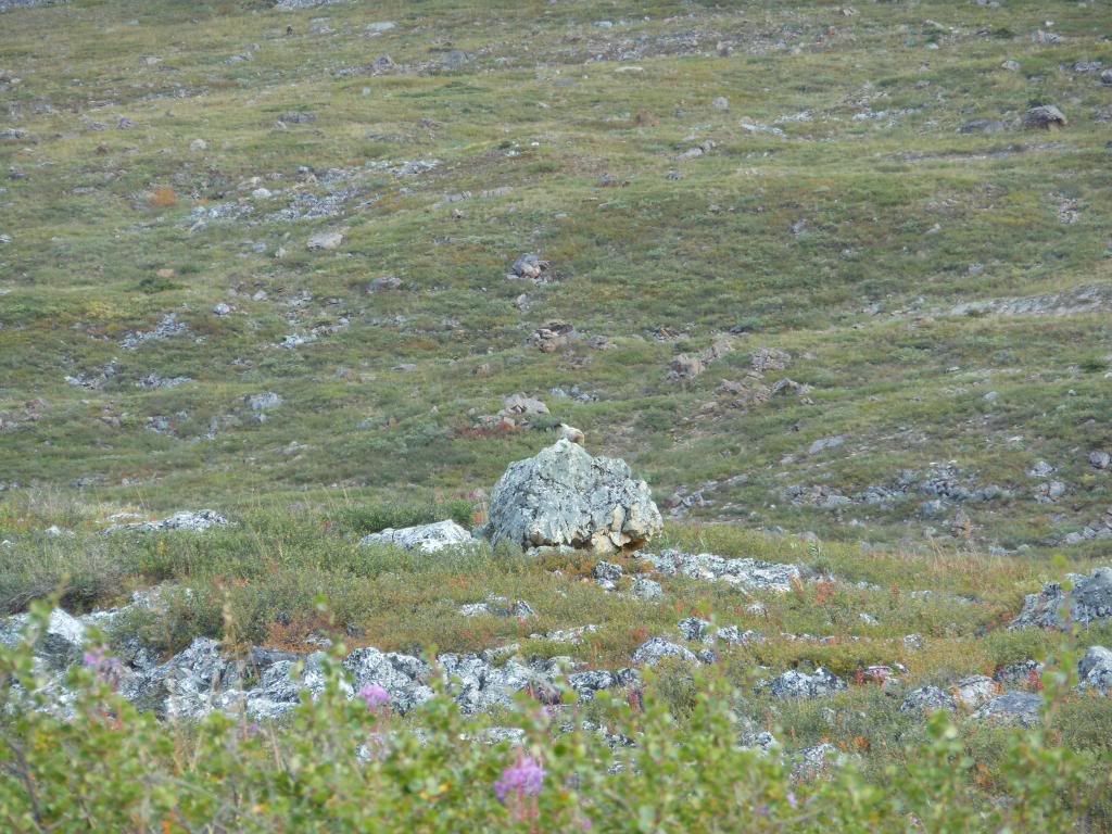 image-4.jpg