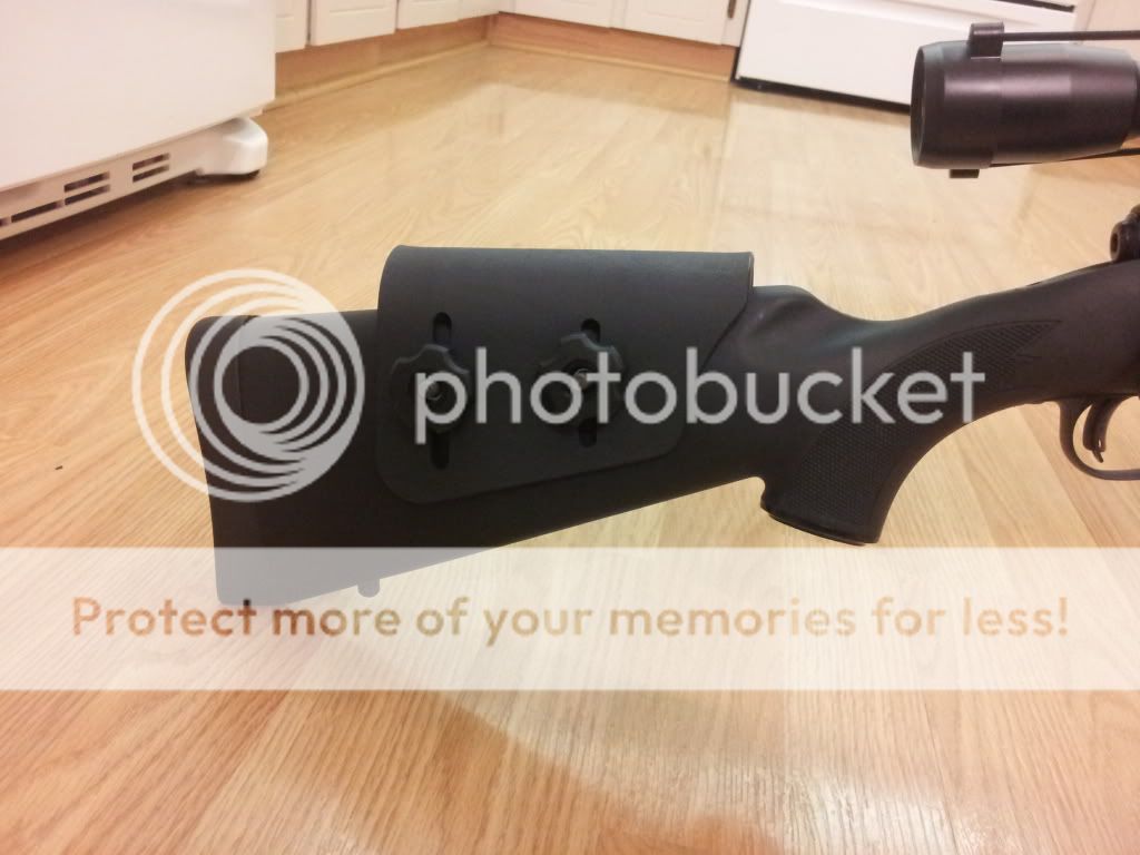 2012-01-05203237.jpg