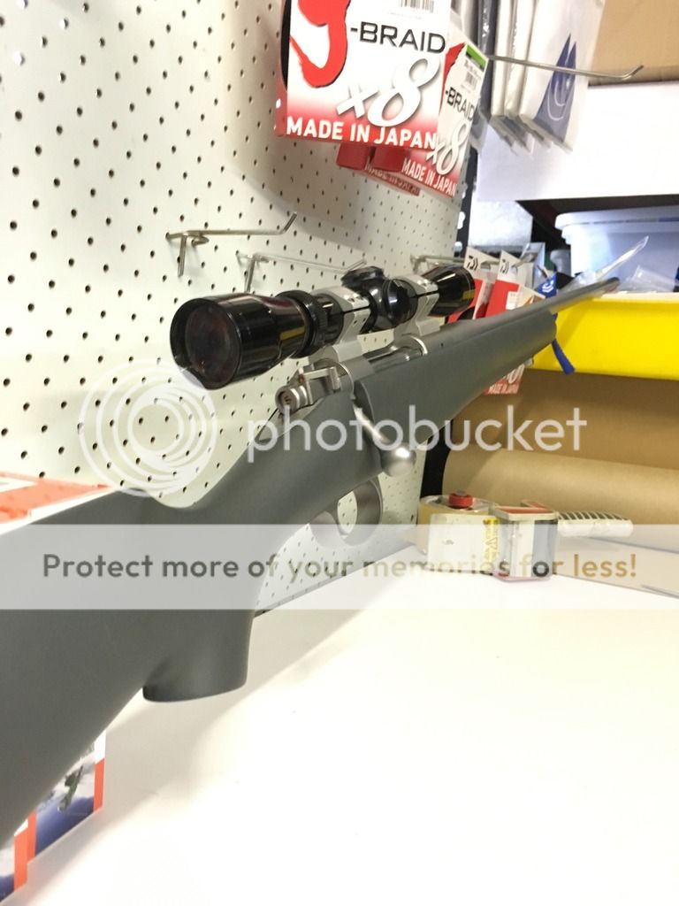 IMG_7489.jpg~original