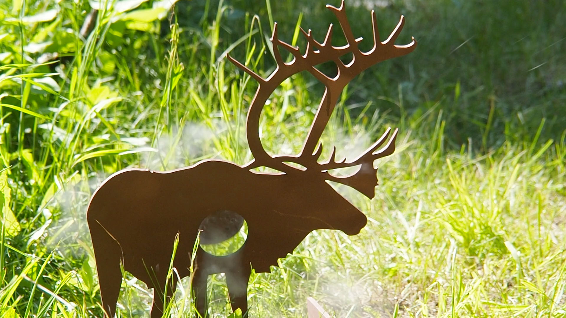 caribou_b.jpg