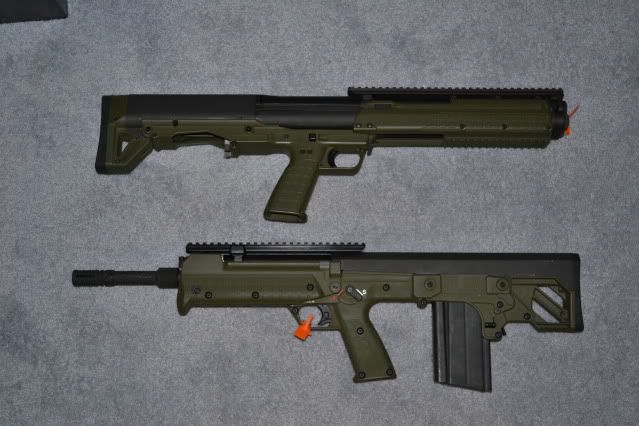 353.jpg