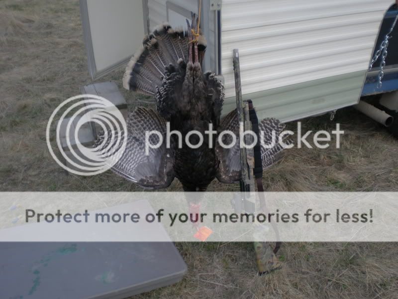 turkeyhunt010.jpg