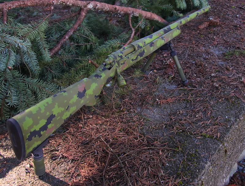 rifleandswallow008.jpg