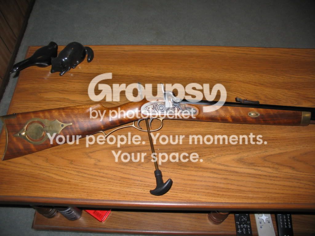 safariarms001.jpg