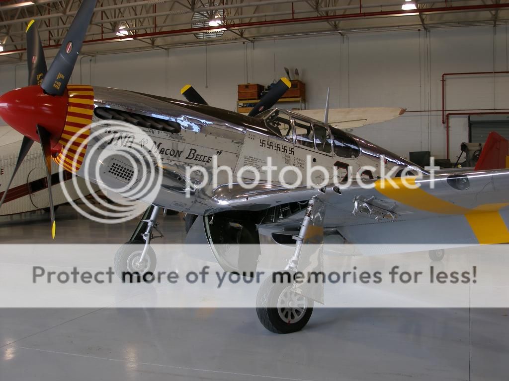 PA180168.jpg