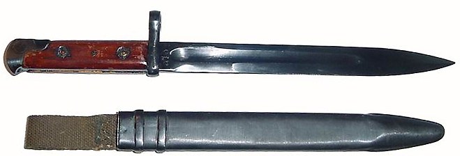 svt-40-bayo.jpg