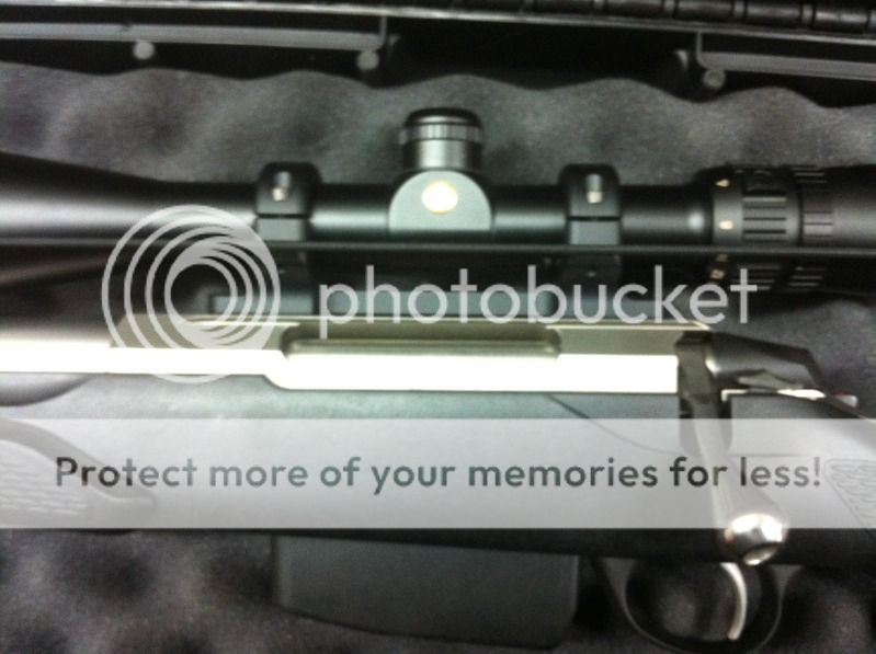 tikka2.jpg