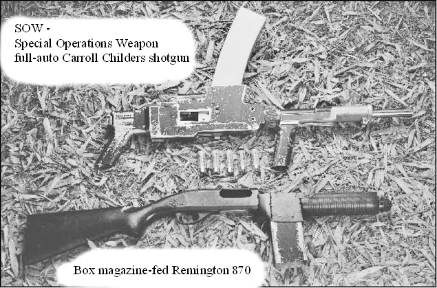 SOW_and_box_magazine_fed_Remington_870.jpg