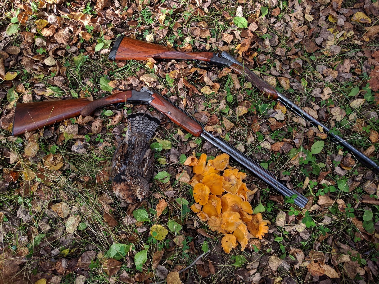 8ExeIok.jpg