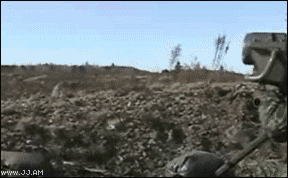 0qL0Y.gif
