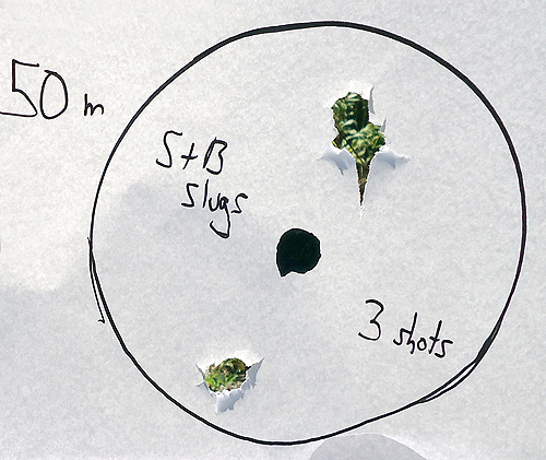 870P_GR_Slugs_50meters_Aug8th_2020.JPG