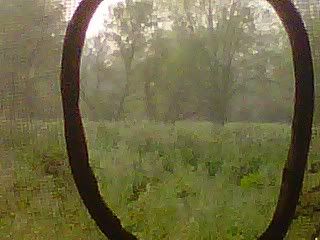 IMG00026-20110530-0739.jpg