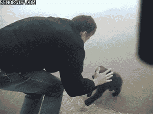 KFQ1u.gif