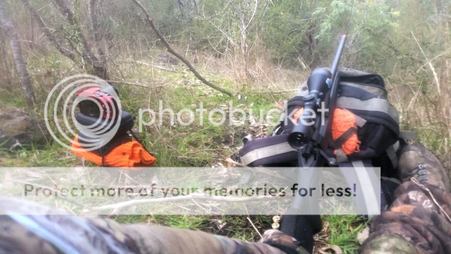 2015-08-23%2018.24.07.jpg~original