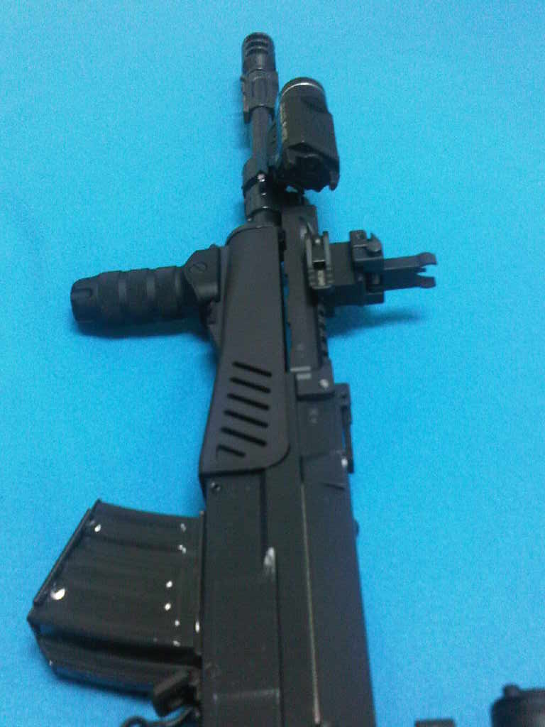TLR1_b.jpg