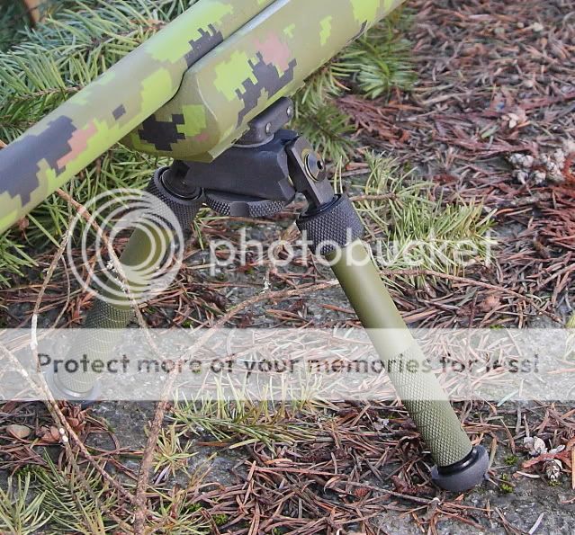 rifleandswallow003bipod.jpg